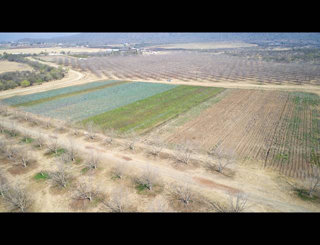 31HA FARM FOR SALE IN WEENEN